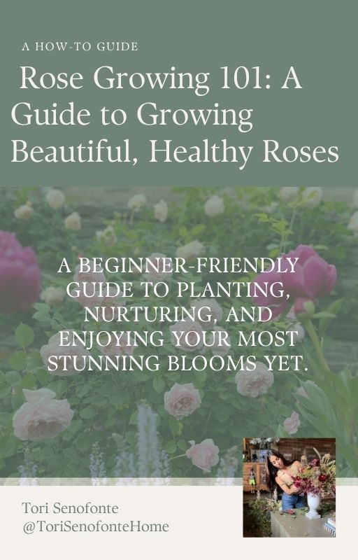 Rose Growing 101 E-Book