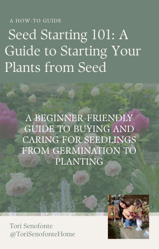 Seed Starting 101